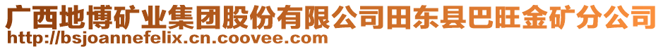 廣西地博礦業集團股份有限公司田東縣巴旺金礦分公司
