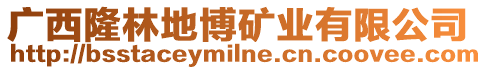 廣西隆林地博礦業(yè)有限公司