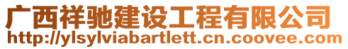 廣西祥馳建設(shè)工程有限公司