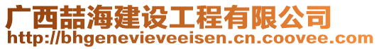 廣西喆海建設(shè)工程有限公司