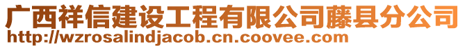 廣西祥信建設工程有限公司藤縣分公司