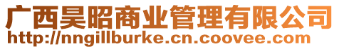 廣西昊昭商業管理有限公司