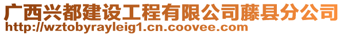 廣西興都建設(shè)工程有限公司藤縣分公司