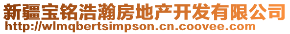 新疆寶銘浩瀚房地產開發有限公司