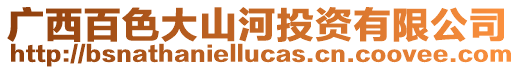 廣西百色大山河投資有限公司