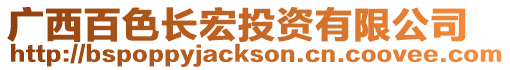 廣西百色長宏投資有限公司
