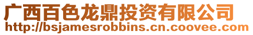 廣西百色龍鼎投資有限公司