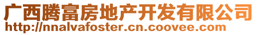 廣西騰富房地產(chǎn)開發(fā)有限公司