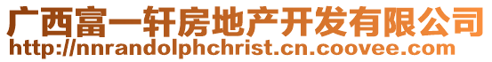 廣西富一軒房地產開發有限公司