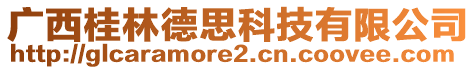 廣西桂林德思科技有限公司