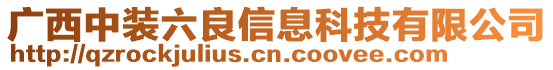 廣西中裝六良信息科技有限公司