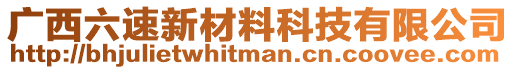 廣西六速新材料科技有限公司