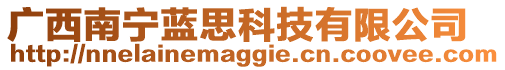 廣西南寧藍(lán)思科技有限公司