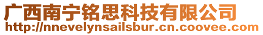 廣西南寧銘思科技有限公司
