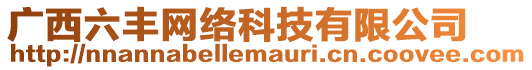 廣西六豐網(wǎng)絡(luò)科技有限公司