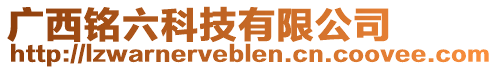 廣西銘六科技有限公司