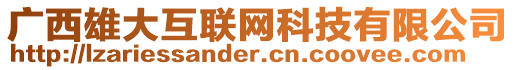 廣西雄大互聯(lián)網(wǎng)科技有限公司