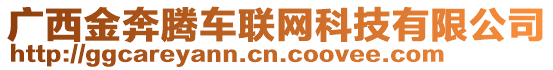 廣西金奔騰車聯(lián)網(wǎng)科技有限公司