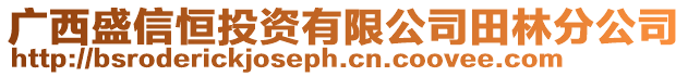 廣西盛信恒投資有限公司田林分公司