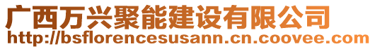 廣西萬(wàn)興聚能建設(shè)有限公司