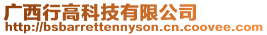 廣西行高科技有限公司