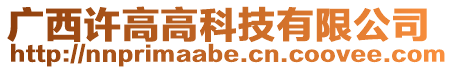 廣西許高高科技有限公司