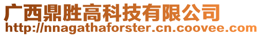 廣西鼎勝高科技有限公司