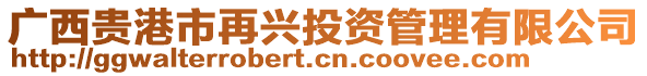 廣西貴港市再興投資管理有限公司