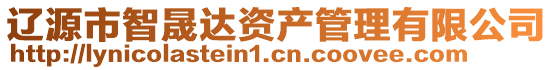 遼源市智晟達資產管理有限公司