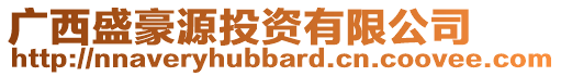 廣西盛豪源投資有限公司