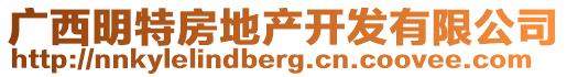 廣西明特房地產(chǎn)開發(fā)有限公司