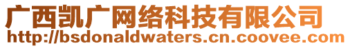 廣西凱廣網(wǎng)絡科技有限公司