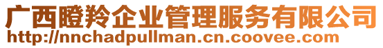 廣西瞪羚企業(yè)管理服務(wù)有限公司