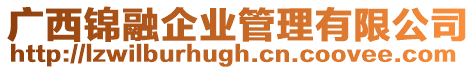 廣西錦融企業(yè)管理有限公司