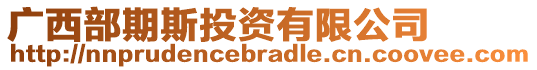 廣西部期斯投資有限公司