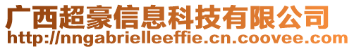 廣西超豪信息科技有限公司