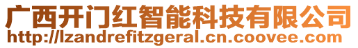 廣西開門紅智能科技有限公司