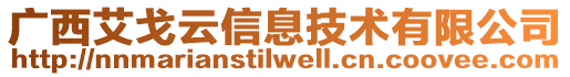 廣西艾戈云信息技術(shù)有限公司