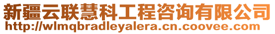 新疆云聯慧科工程咨詢有限公司