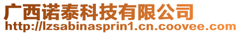 廣西諾泰科技有限公司