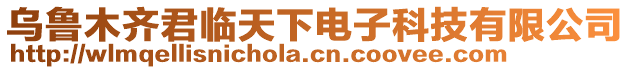 烏魯木齊君臨天下電子科技有限公司