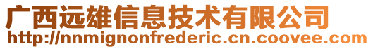 廣西遠(yuǎn)雄信息技術(shù)有限公司