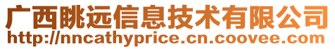 广西眺远信息技术有限公司