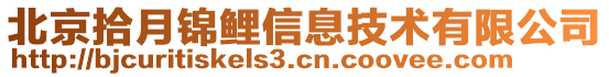 北京拾月錦鯉信息技術有限公司