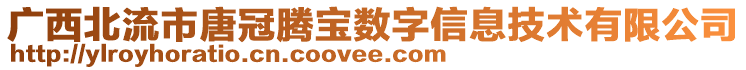 廣西北流市唐冠騰寶數(shù)字信息技術(shù)有限公司