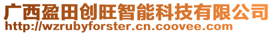 廣西盈田創(chuàng)旺智能科技有限公司