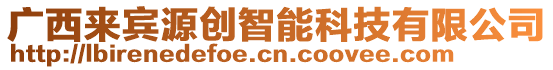 廣西來(lái)賓源創(chuàng)智能科技有限公司