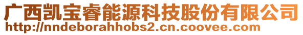 廣西凱寶睿能源科技股份有限公司