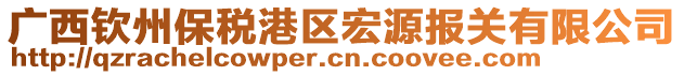 廣西欽州保稅港區(qū)宏源報(bào)關(guān)有限公司