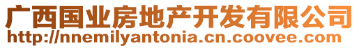 廣西國業(yè)房地產(chǎn)開發(fā)有限公司